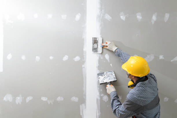 Best Industrial Mold Remediation  in North Alamo, TX